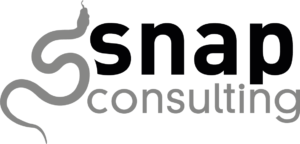 Logo snap consulting